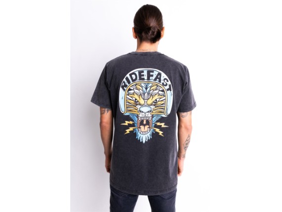 JDS7105_Lion_FadeOutBlack_25