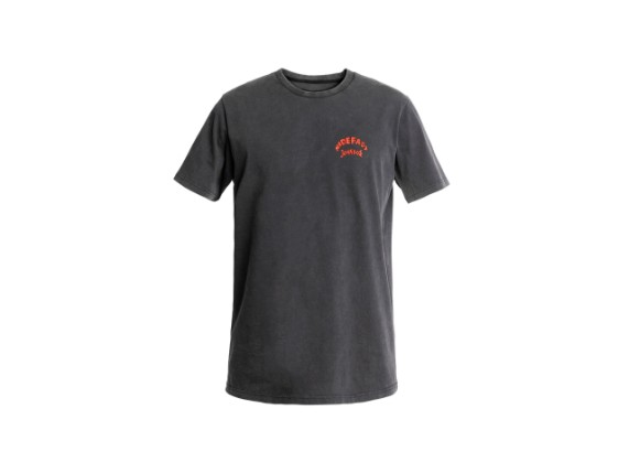 JDS7105_Lion_FadeOutBlack_Freisteller_Front_HR