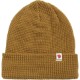 acorn