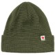 caper green