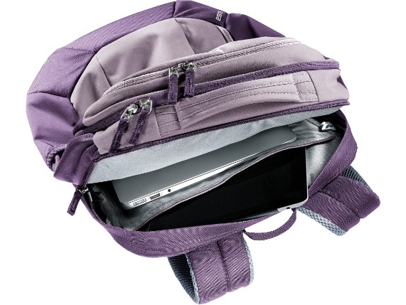 3812321-3531-Giga_lavender_purple-D-07