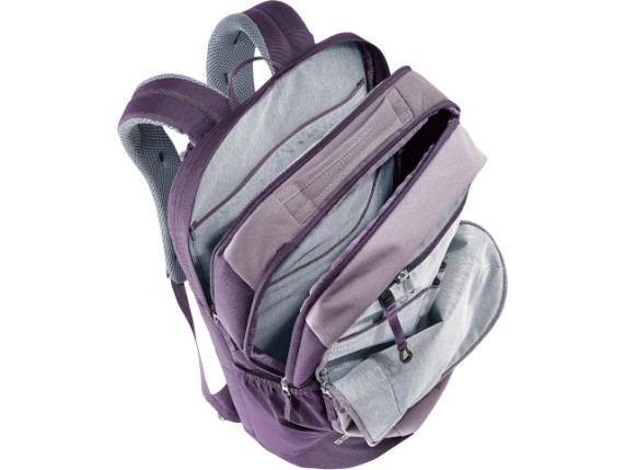 3812321-3531-Giga_lavender_purple-D-08