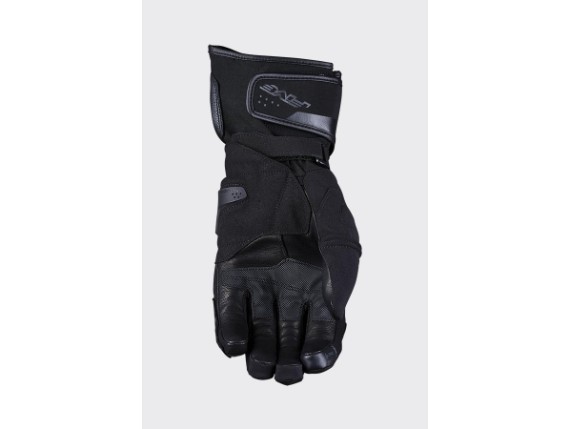 WP-rfx4_evo_wp_black_palm_2024