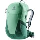 spearmint-seagreen