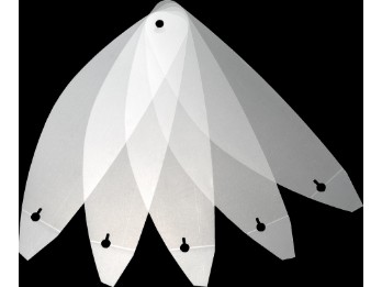 CWR-F2R Abrissfolien für NXR2/X-SPR Pro (transparent)