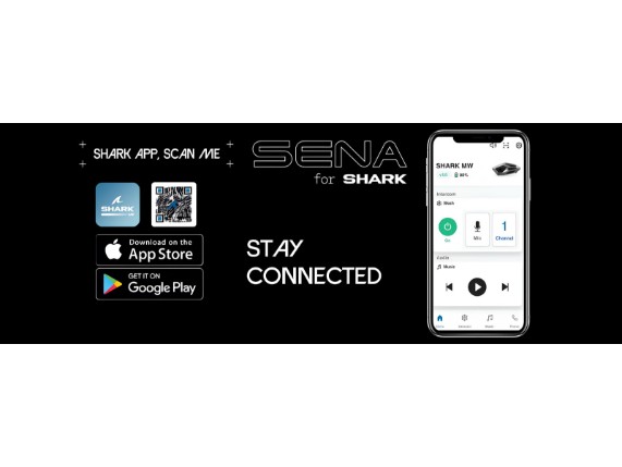 shark_senatooth-detail_2