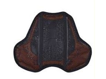 Brustprotektor CP2 Full L2