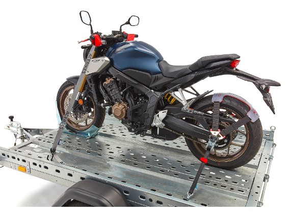 8f.56.bb.D15AcebikesBuckleUpSpanngurtgrau1003041479019