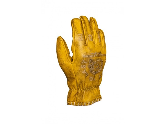 jdg7042_coyote_yellow-grey_freisteller_2_lr