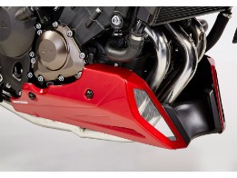 Sportsline Bugspoiler Yamaha MT-09