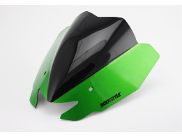 Sportsline Scheinwerferverkleidung Kawasaki Z1000