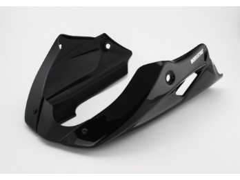 Sportsline Bugspoiler Kawasaki Z650