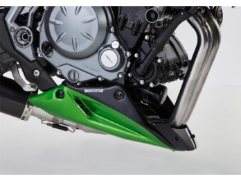 Sportsline Bugspoiler Kawasaki Z 650