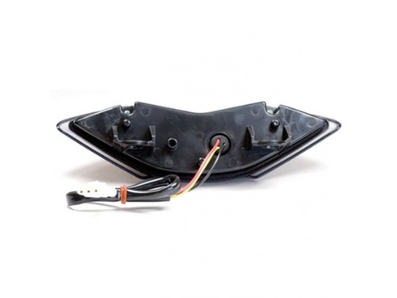 243123, LED-Rücklicht Kawasaki Z1000/KLE650