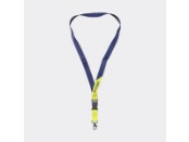 Lanyard
