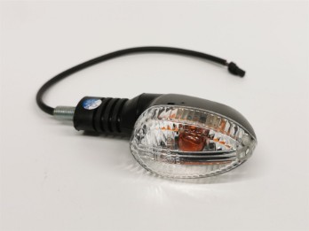 Blinker rechts vorne und links