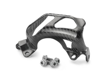 Bremszangenschutz Carbon kpl.