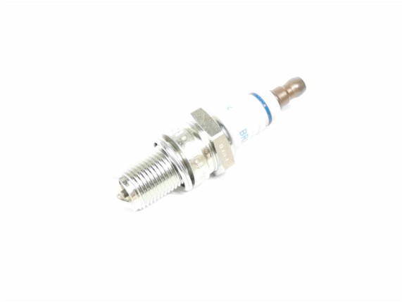 5553b29d29404f0d9db3b9d939268395