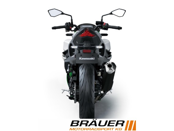 Kawasaki Z 7 Hybrid, 0011207