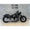 FLSL Softail Slim
