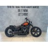 FXBBS Softail Street Bob
