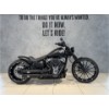 FXBR Softail Breakout 117