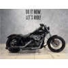 FXDB Street Bob