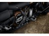 50502020 Fußrasten Wild One Kollektion Harley-Davidson Sportster S (1)