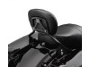 54248-09a_2_harley(1)