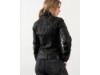 Bonny Black (2)