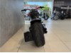 HARLEY-DAVIDSON FLFBS Softail Fat Boy Custom, 0009038