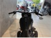 HARLEY-DAVIDSON FLFBS Softail Fat Boy Custom, 0009038