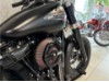 HARLEY-DAVIDSON FLSL Softail Slim 107, 0006838
