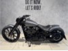 HARLEY-DAVIDSON FXBRS Softail Breakout, 0006755