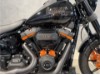 HARLEY-DAVIDSON FXLRS Low Rider S, 0006134