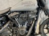 HARLEY-DAVIDSON FXLRS Low Rider S, 5HD1YWZ45RS030609