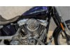 HARLEY-DAVIDSON FXSTSSE CVO Softail Springer, 1HD1PT9367Y955894