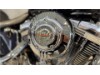 HARLEY-DAVIDSON FXSTSSE CVO Softail Springer, 1HD1PT9367Y955894