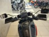 HARLEY-DAVIDSON RA1250SE CVO Pan America, 0009599