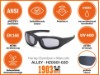 HZ0001-02D_Alley-Motorradbrille_Info
