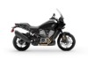 Pan America Vermietung - Harley-Davidson RA1250