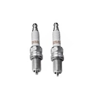 Zündkerzen 2 Stück für Twin Cam und Sportster-Modelle
