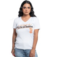 T-Shirt Swinging 
