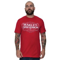 T-Shirt Outlines