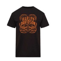 T-Shirt Aurora