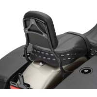 Holdfast Sissy Bar Bügel - Standardhöhe, Schwarzglänzend