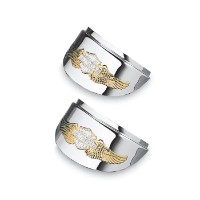 Eagle Wing Blinkerschirm für Blinker mit flachem Glas