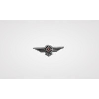 Pin USA Wing