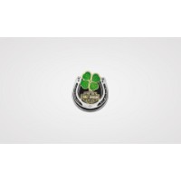 Pin Lucky Horseshoe