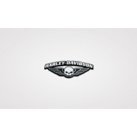Pin Winged Skull
